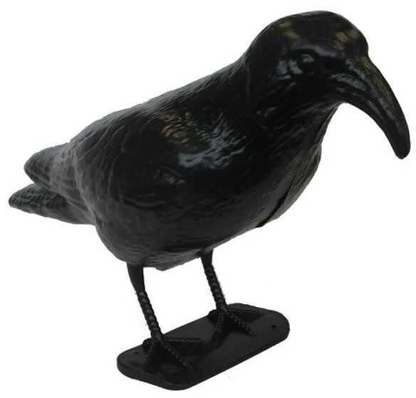 PLASTIC SCARER CROW 42.5X14X23CM