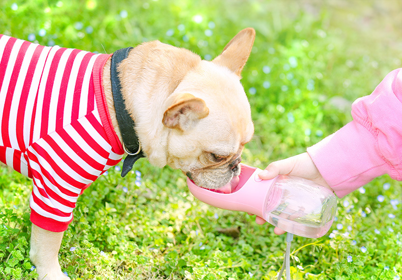 AUTOMATIC TRAVEL WATER BOTTLE FOR PETS