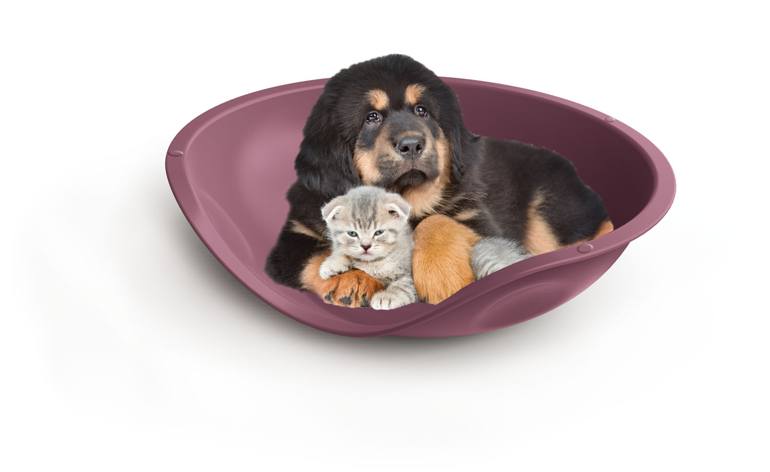 GEORPLAST MODERN DESIGN BED FOR ANIMALS