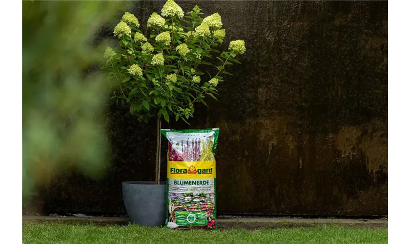 FLORAGARD UNIVERSAL SOIL 20L