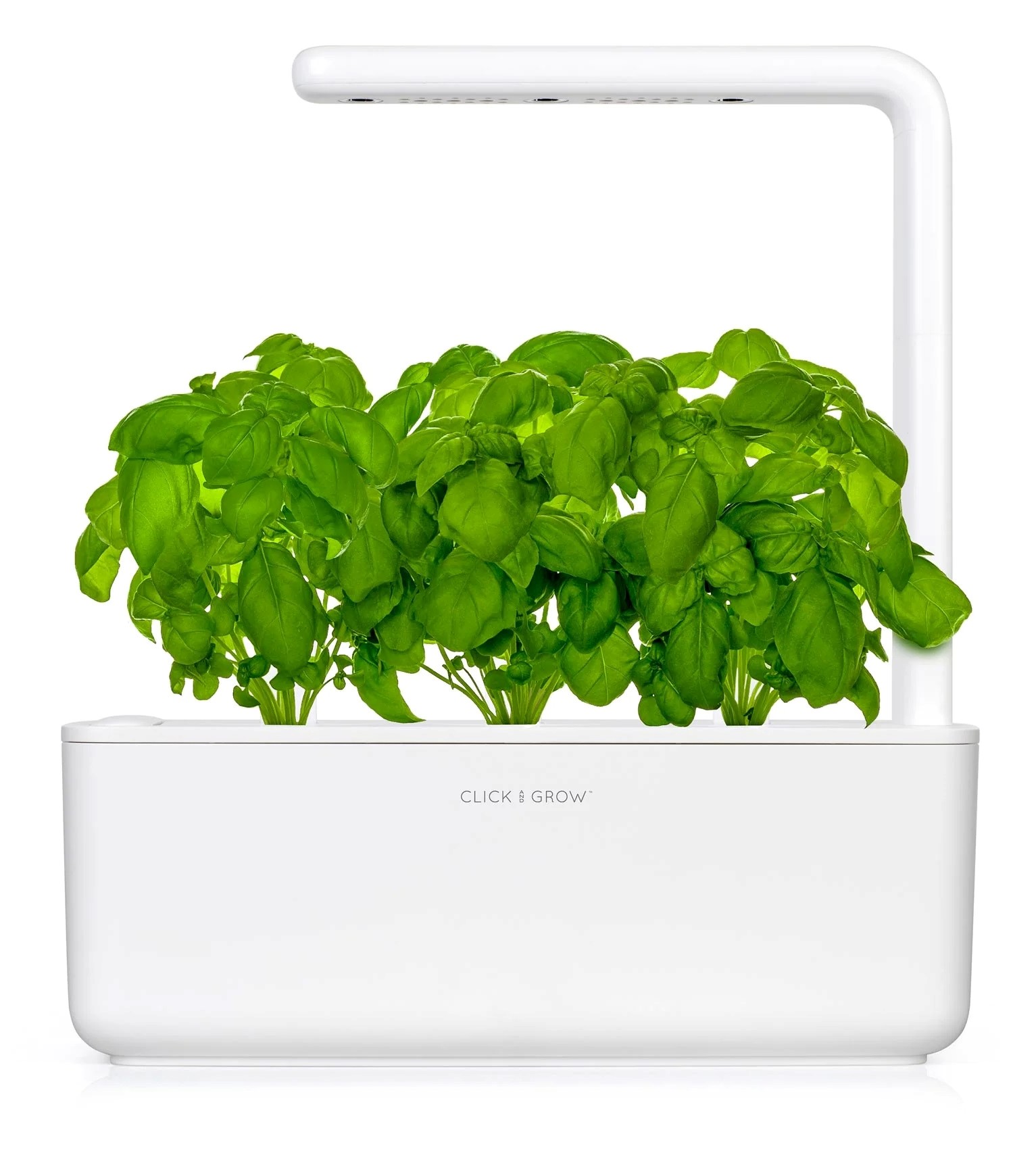 CLICK & GROW SGS1UNI SMART GARDEN 3 STARTER KIT ΜΕ 3 ΣΠΟΡΟΥΣ ΒΑΣΙΛΙΚΟΥ 30Χ12CM ΛΕΥΚΟ