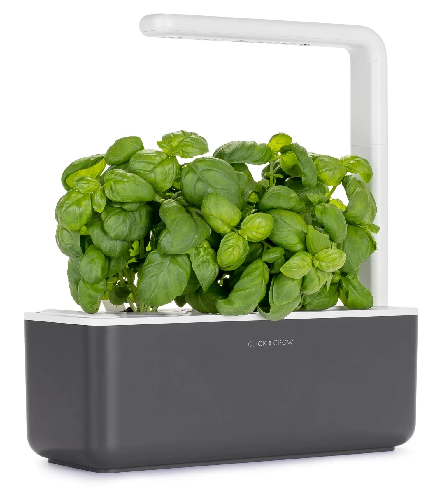 CLICK & GROW SGS8UNI SMART GARDEN 3 STARTER KIT ΜΕ 3 ΣΠΟΡΟΥΣ ΒΑΣΙΛΙΚΟΥ 30Χ12CM ΓΚΡΙΖΟ