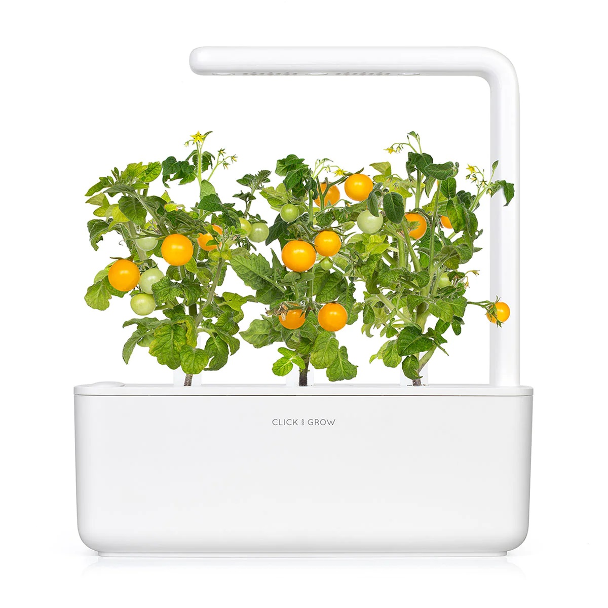 CLICK & GROW SGR57X3 YELLOW MINI TOMATO PLANT PODS 3PCS