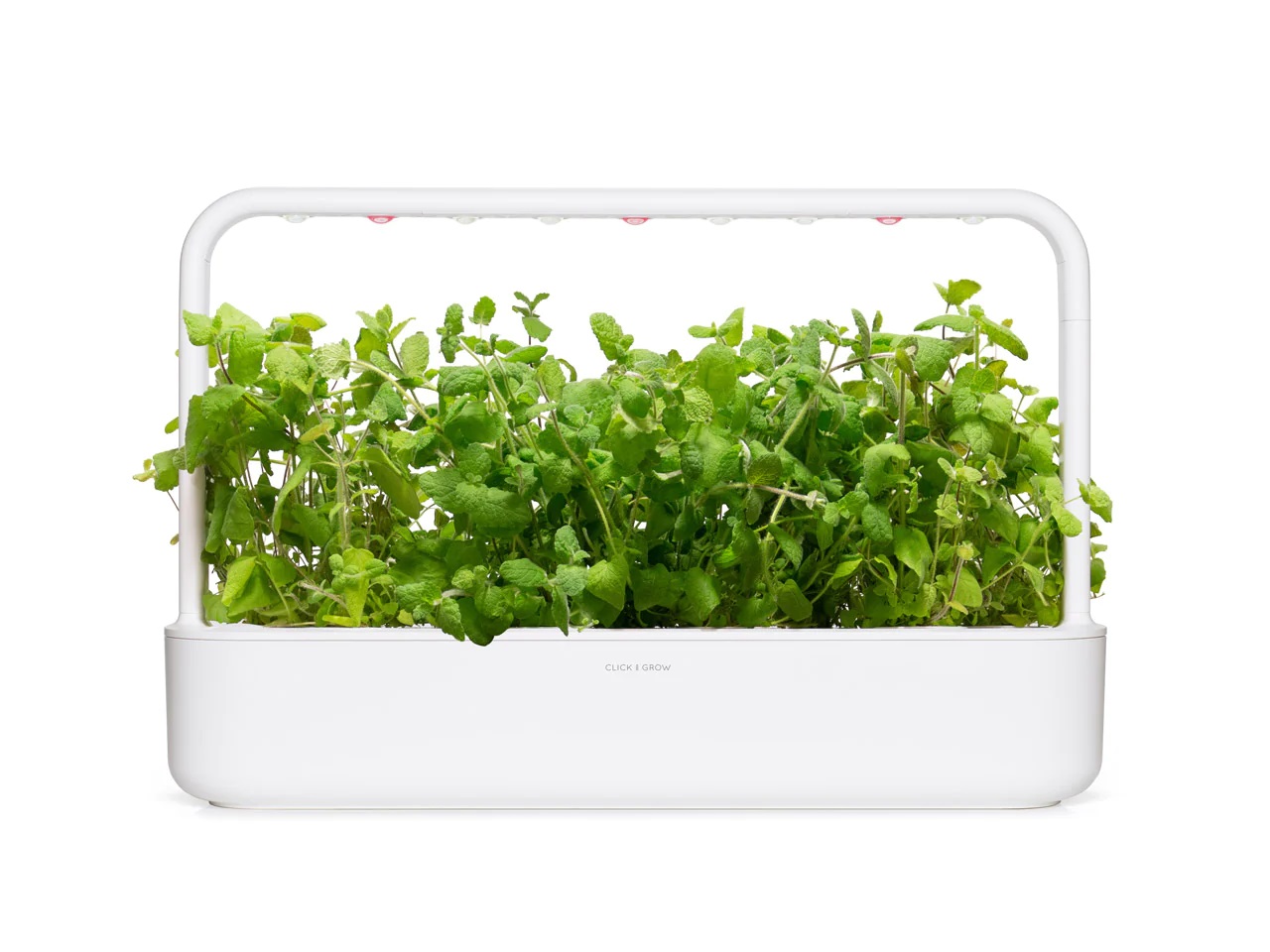 CLICK & GROW SGR79X3 APPLE MINT PLANT PODS 3PCS