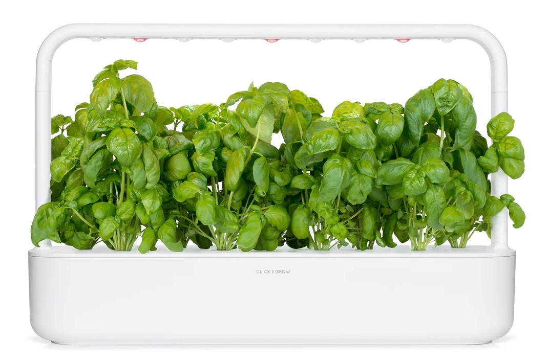 CLICK & GROW SGR3X3 BASIL PLANT PODS 3PCS