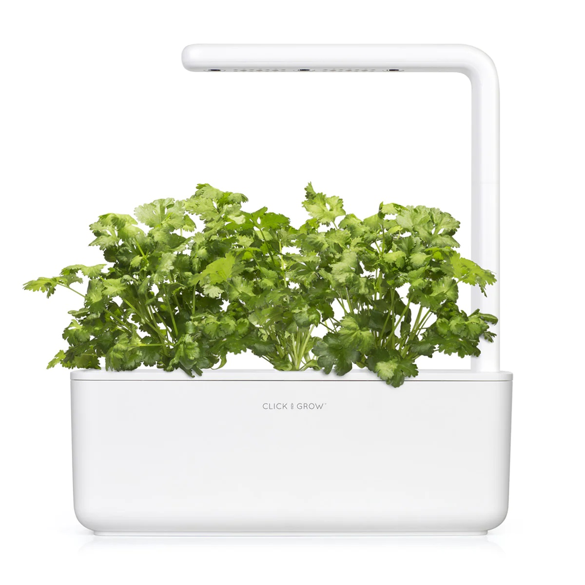 CLICK & GROW SGR45X3 CILANTRO/CORIANDER PLANT PODS 3PCS