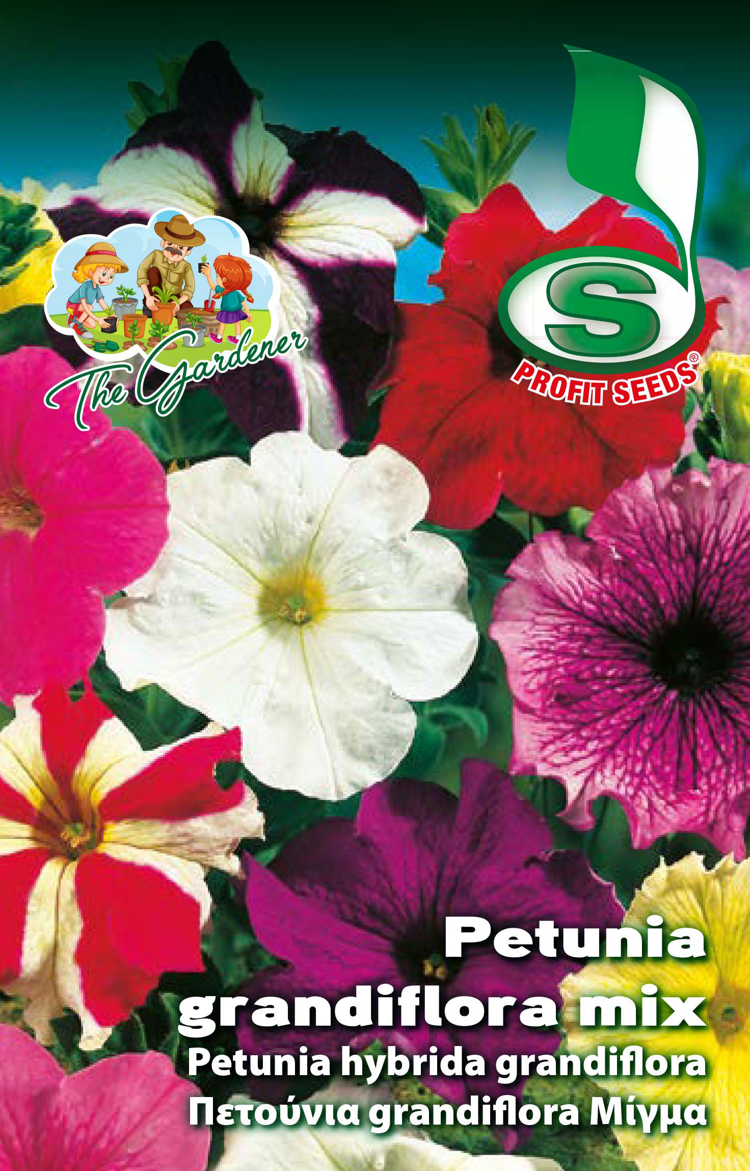 HB PETUNIA GRANDIFLORA 1GR